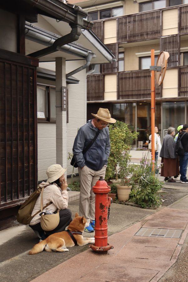 Photograph, Hida, Japan