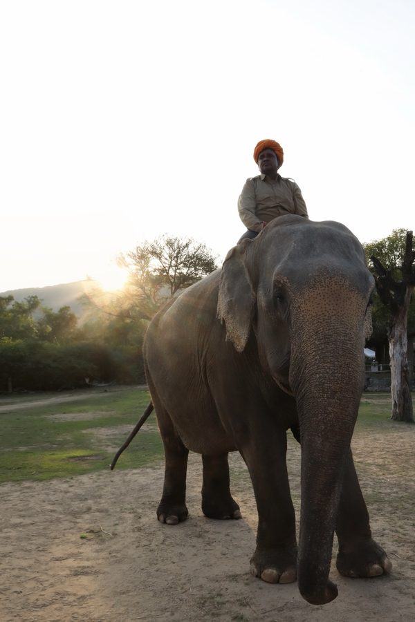 Photograph, Rajasthan, India